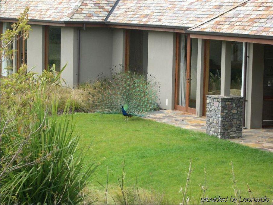 Treetops Lodge & Estate Rotorua Bagian luar foto