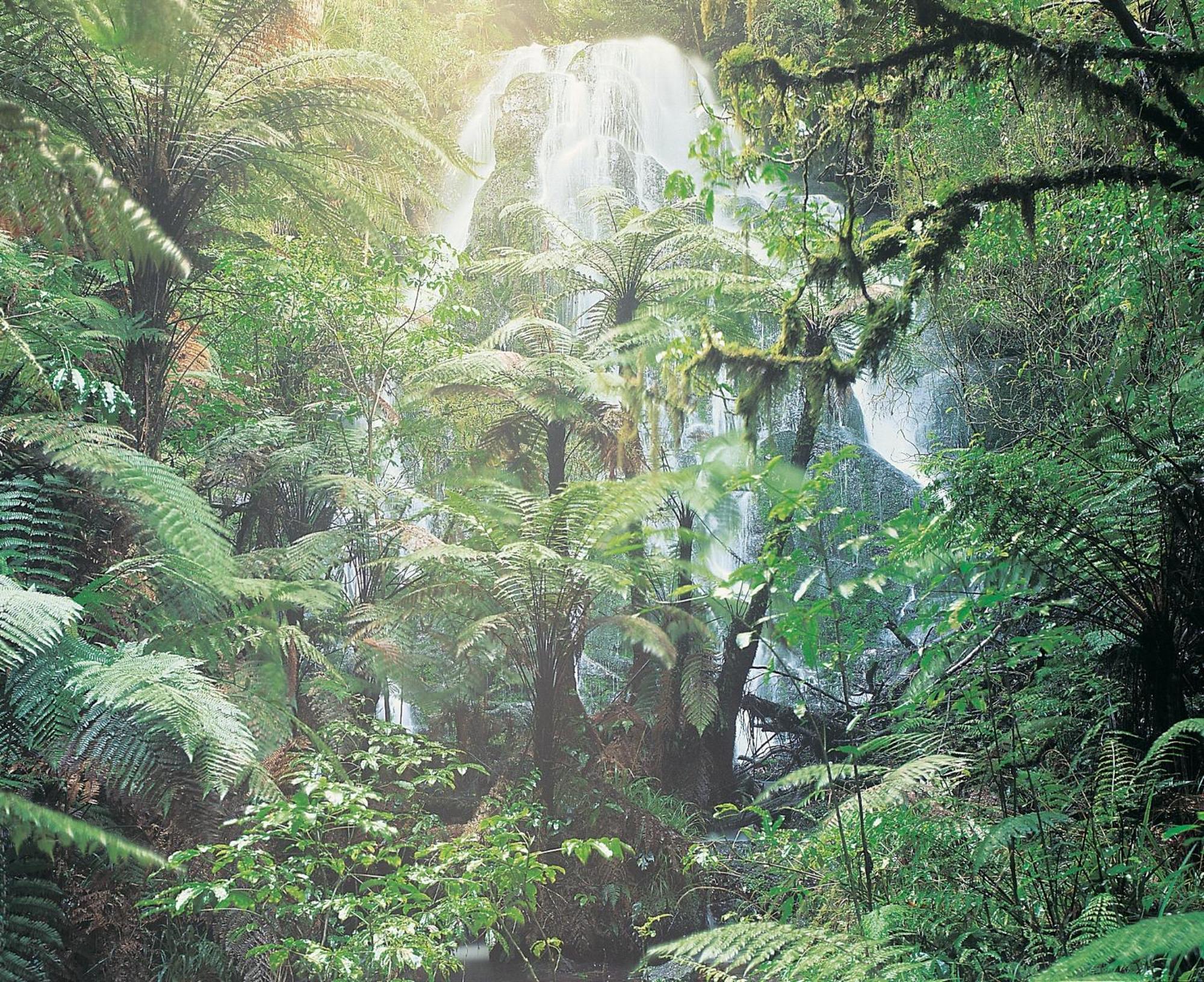Treetops Lodge & Estate Rotorua Bagian luar foto