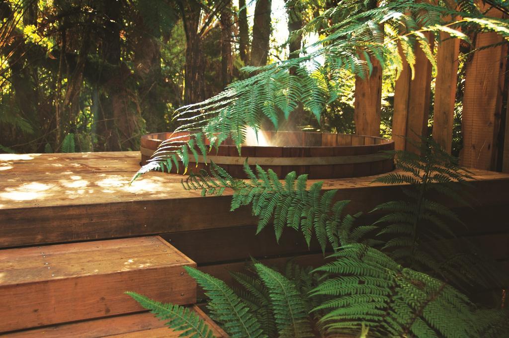 Treetops Lodge & Estate Rotorua Bagian luar foto